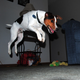 Illustration for article titled Shooting Challenge Pets Gallery 6